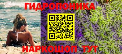 эйфоретик Партизанск