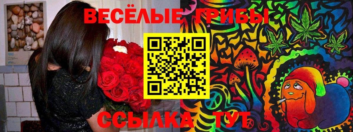 Галлюциногенные грибы MAGIC MUSHROOMS  Галлюциногенные грибы прущие грибы  Обнинск  Вход с VPN 